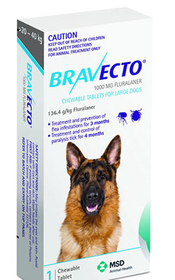 bravecto causes seizures and death in dogs