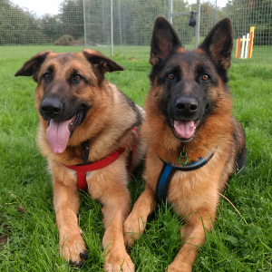 Axle & India - Lincolnshire