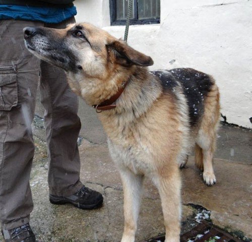 Leah - North Yorkshire