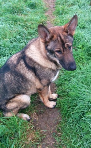 Max - South Yorkshire