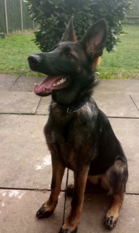 Xena - West Midlands