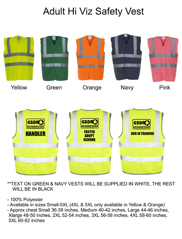 High Viz Vest