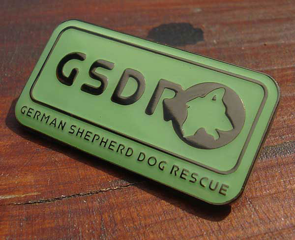 gsdr pin badge