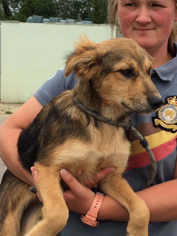 Kita the puppy having a cuddle