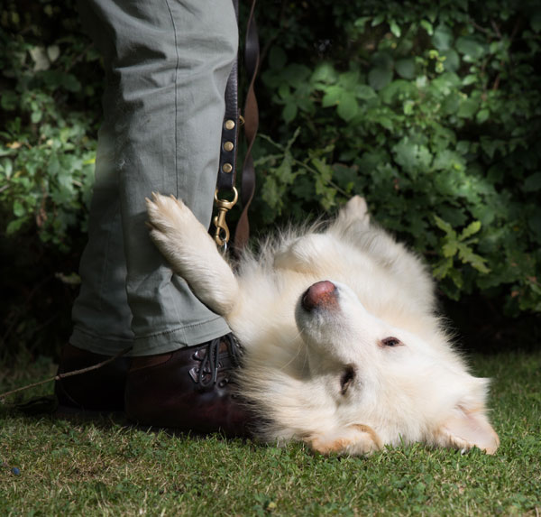 Logan practising his cute