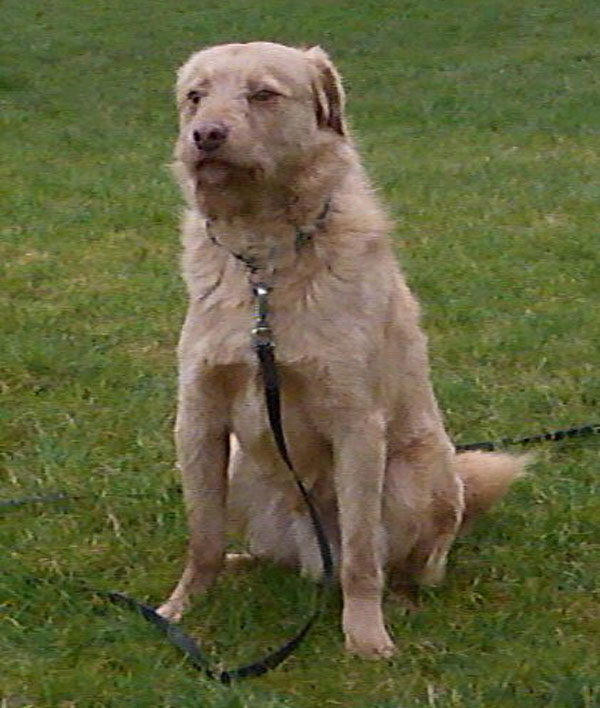 Marco has waited too long for his new mum and dad to come and take him home.