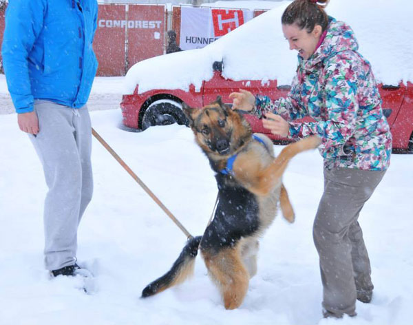 max the gsd after his release