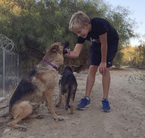 Watch a touching picture of sweet Nelly.