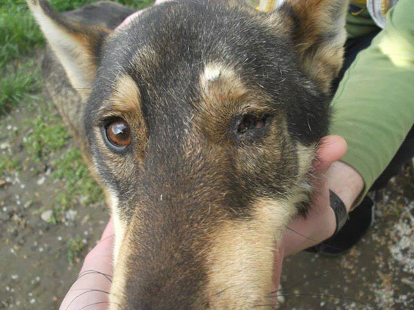 Theo has been badly beaten around the head causing damage to his eye