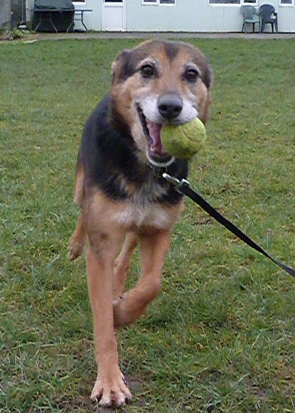 Yasmin loves to play ball