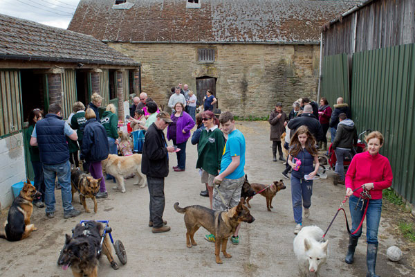 meeting for a gsdr walk