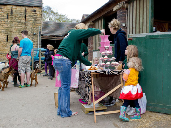 cakes baked for the end of the gsdr walk