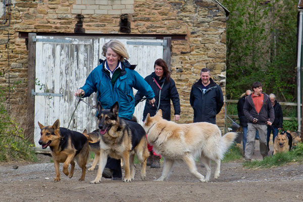 gsdr walk members