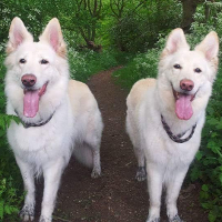 Maya and Keegan - Lincolnshire