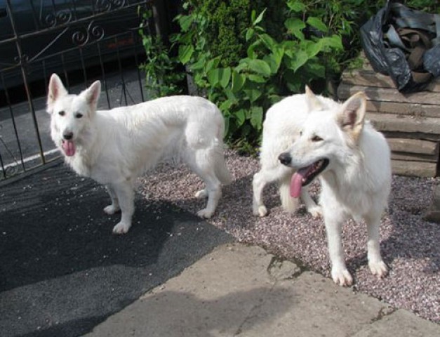 May & Cammy - Lancashire