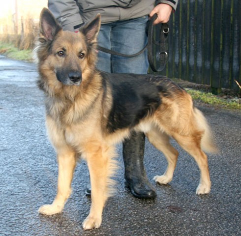 Jerry Lee -North Yorkshire