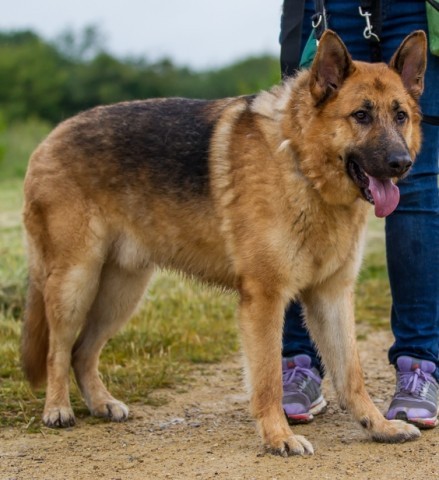 Kaiser - West Yorkshire