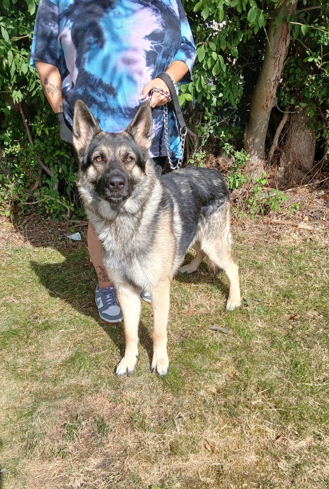 Apollo-Bedfordshire Apollo-Bedfordshire