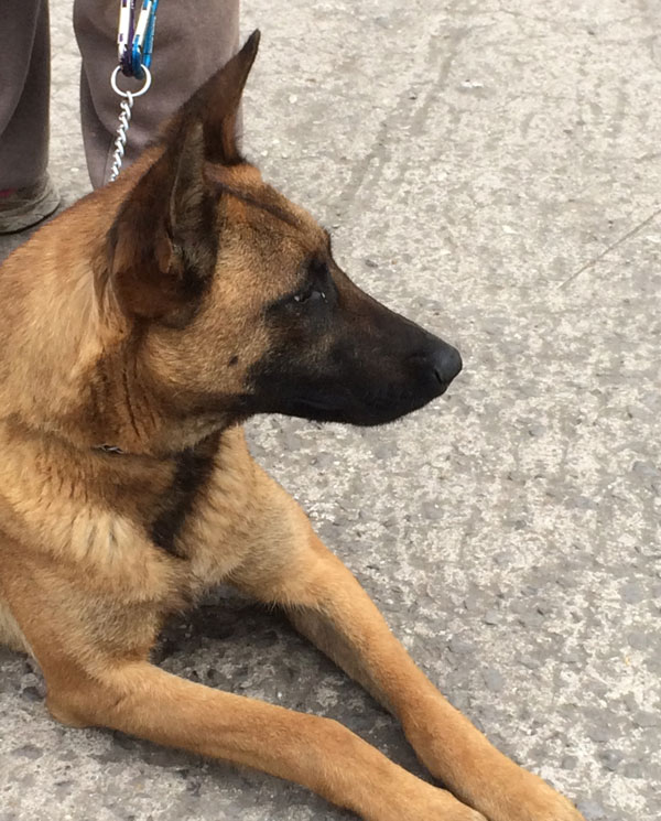 Freya looking out, hoping for her new mum and dad to come forward soon