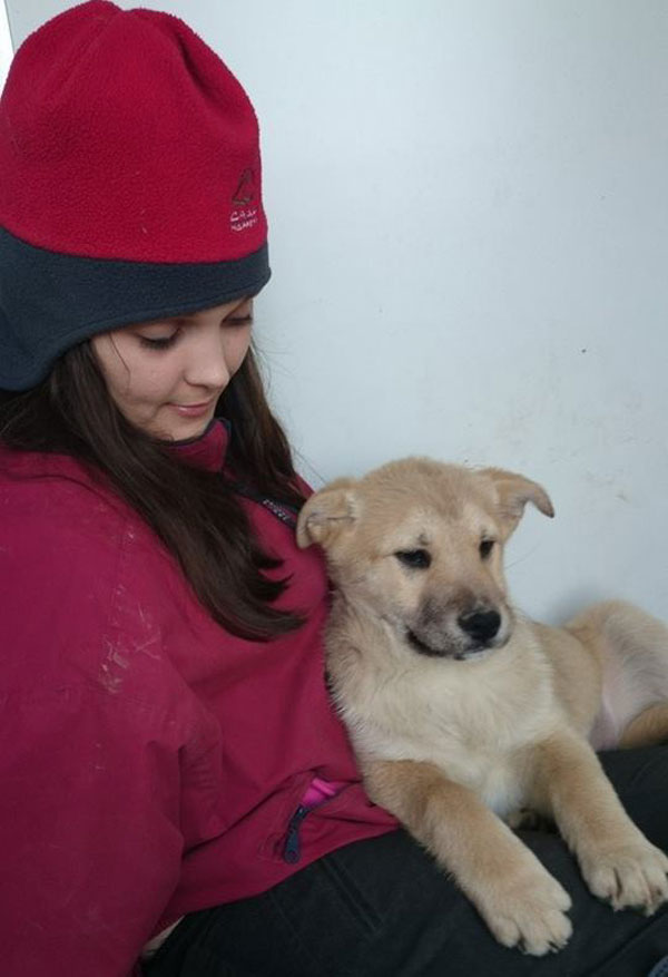 lottie the puppy loves a cuddle