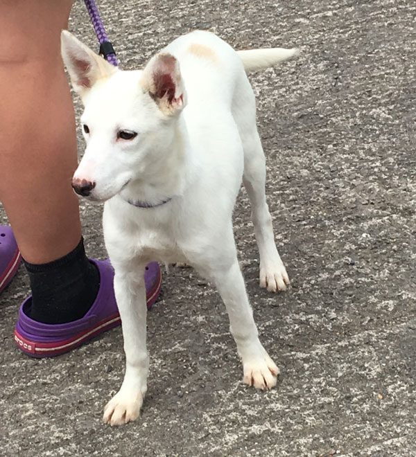 What big ears you have Narla!