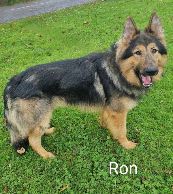 Ron-South Lincolnshire