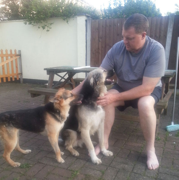 sam and briggi dogs from romania with their foster dad