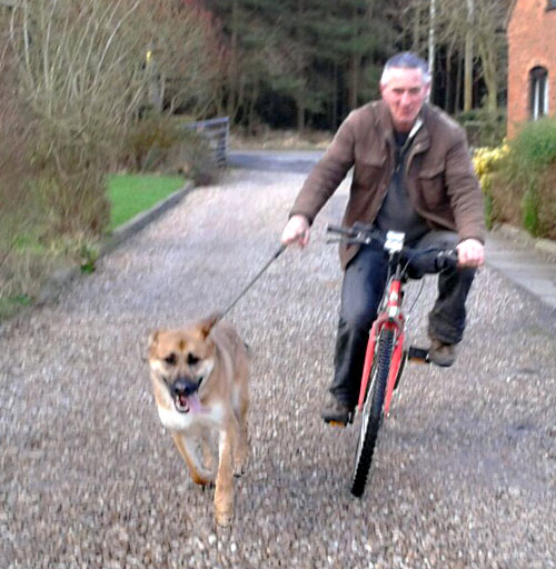 simba running alongside Mike on his bike