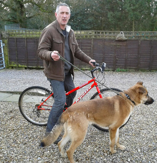 simba the gsd with his friend Mike on his bike