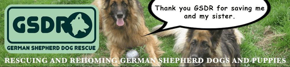 German Shepherd Rescue