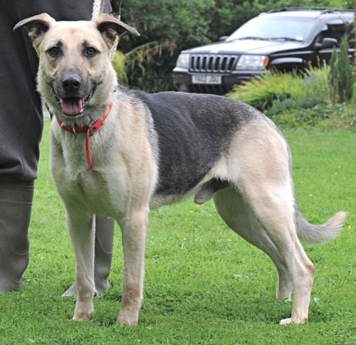 odin gsd