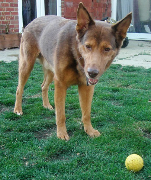 starbuck playing ball